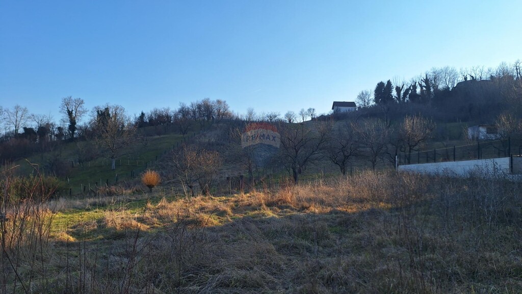 Image 6248013 - 4