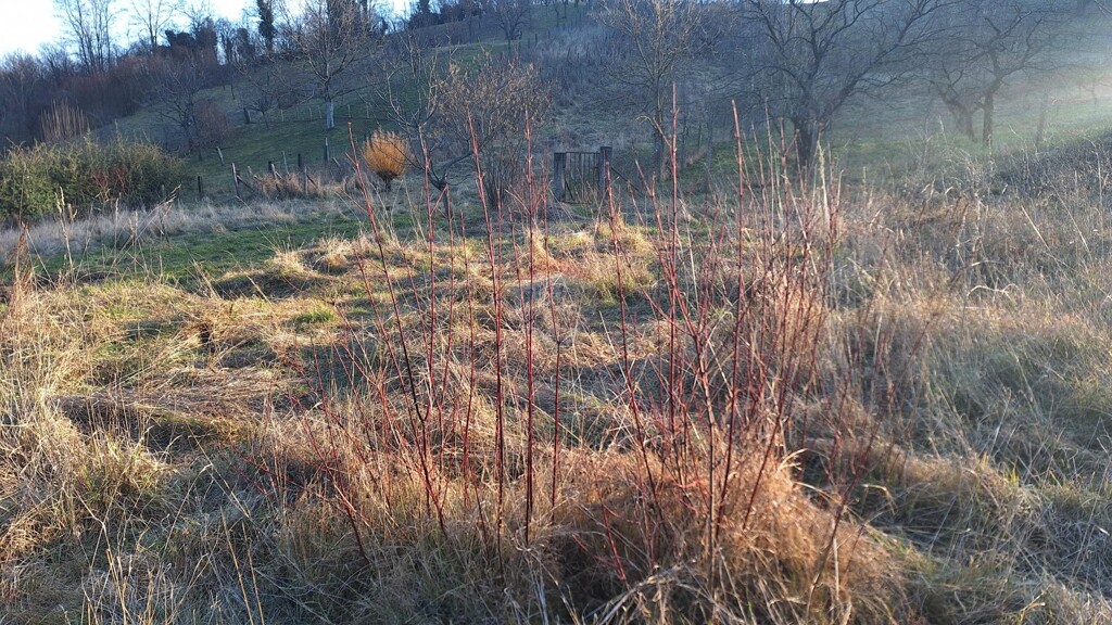 Image 6248013 - 3