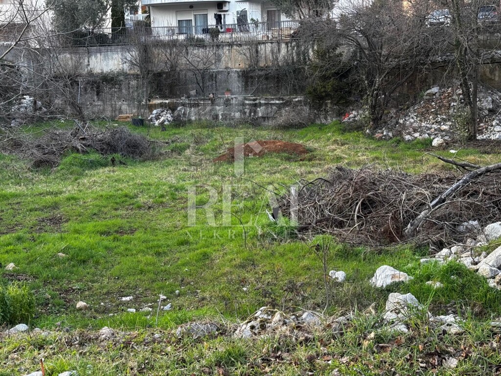 Image 6248263 - 2
