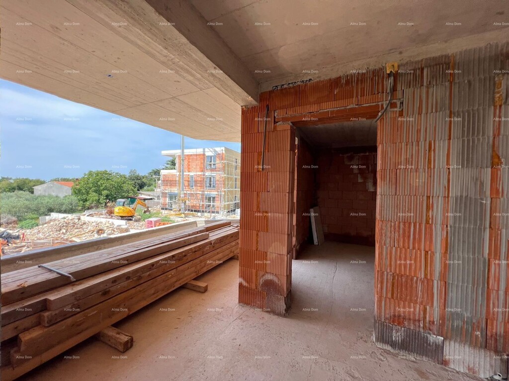 Image 6248275 - 12