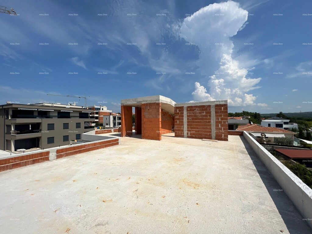 Image 6248275 - 16