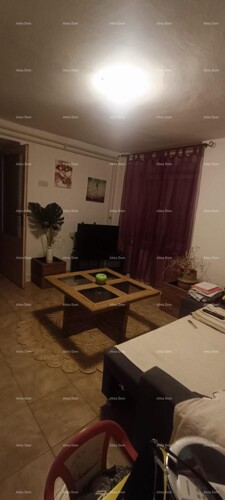 Thumbnail 6248282 - 12