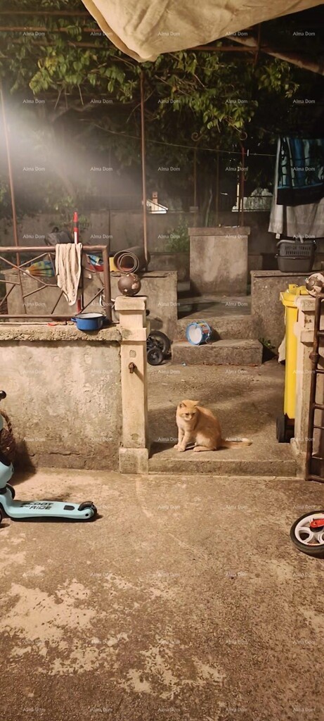Image 6248282 - 10