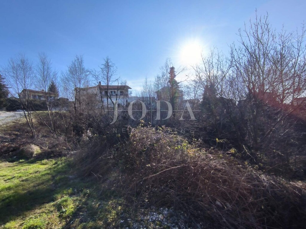 Image 6248392 - 4