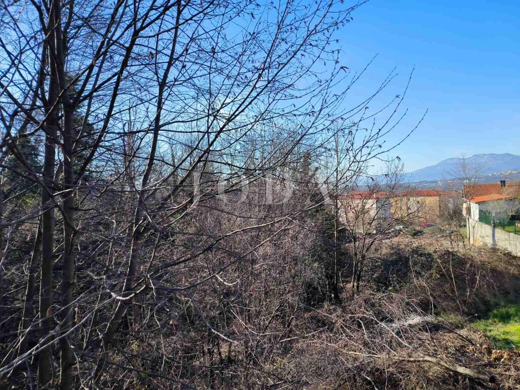 Image 6248392 - 2