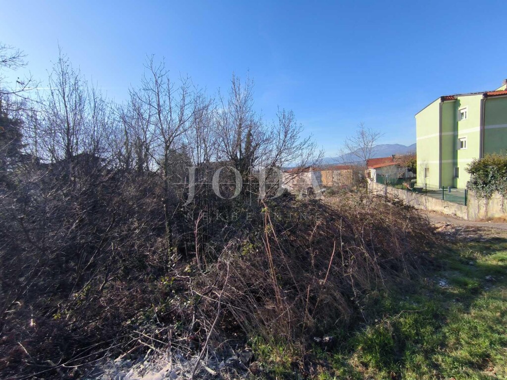 Image 6248392 - 3