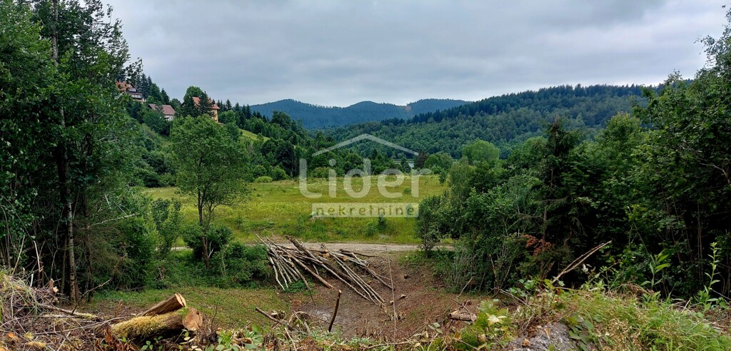 Image 6248436 - 1