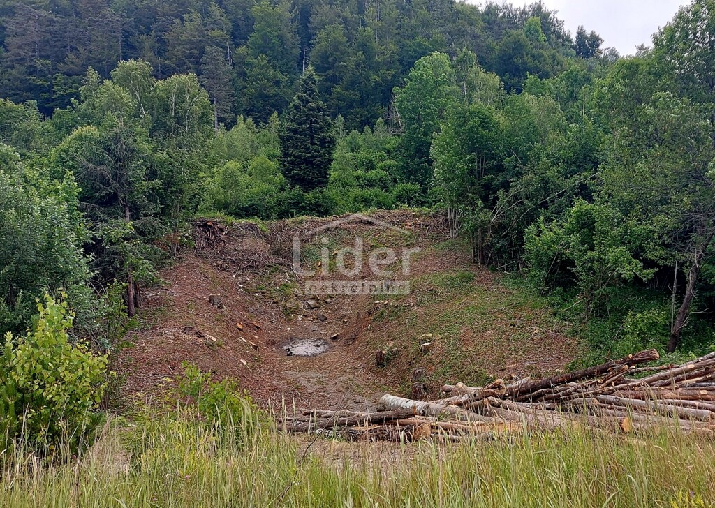 Image 6248436 - 2