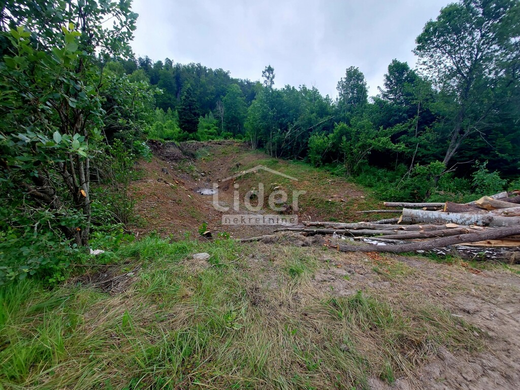 Image 6248436 - 3