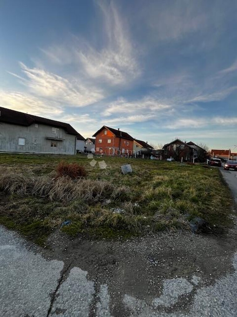 Image 6248458 - 6