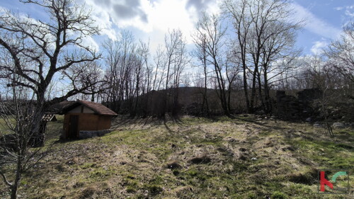 Thumbnail 6248478 - 13