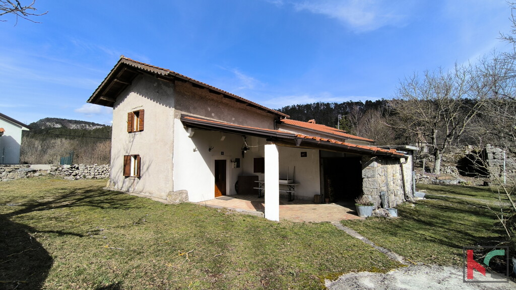 Image 6248478 - 1