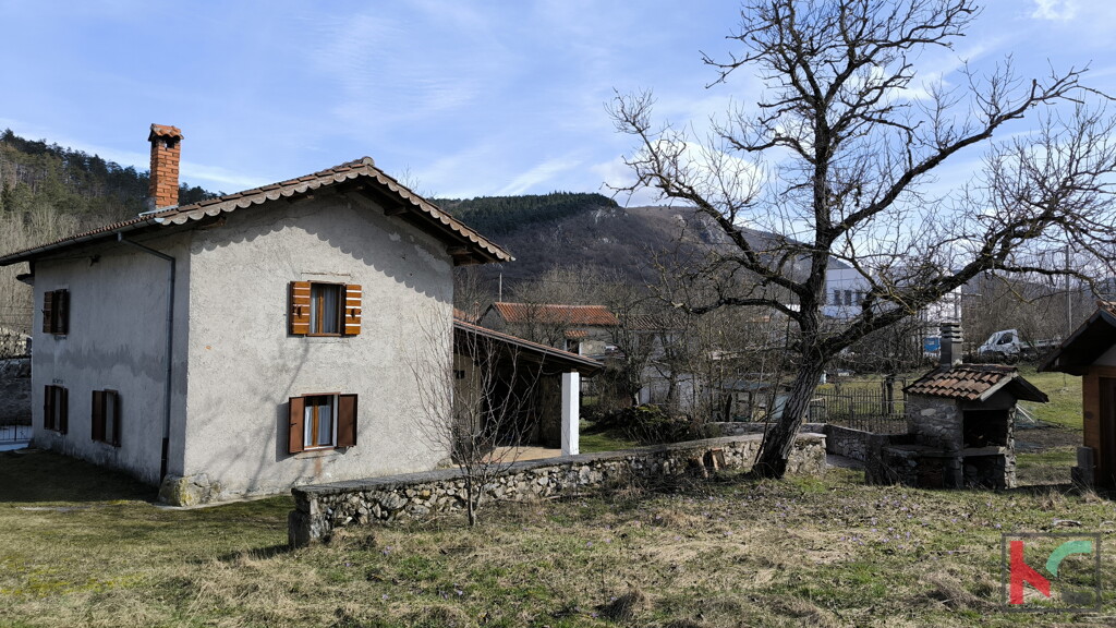 Image 6248478 - 2