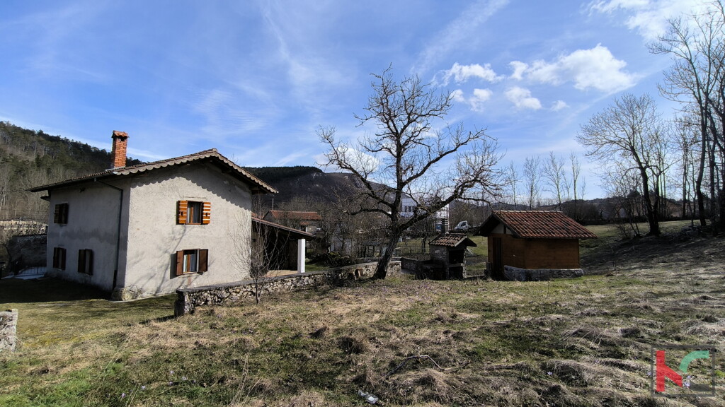 Image 6248478 - 12