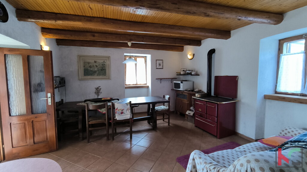 Image 6248478 - 6