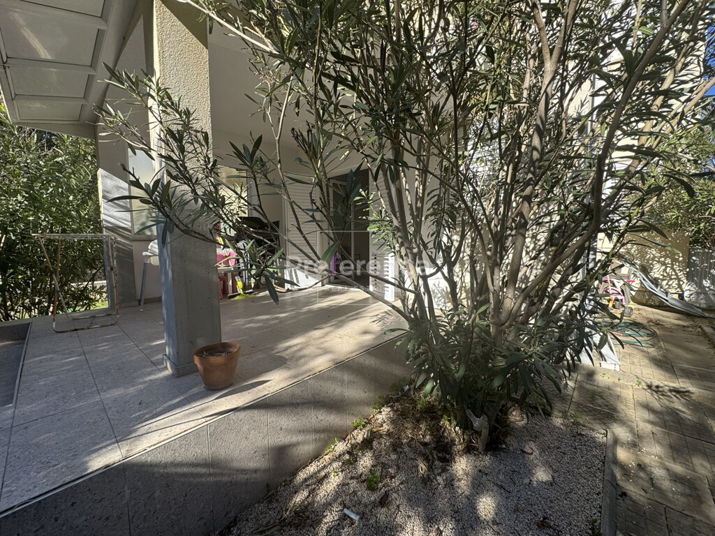 Image 6248552 - 26