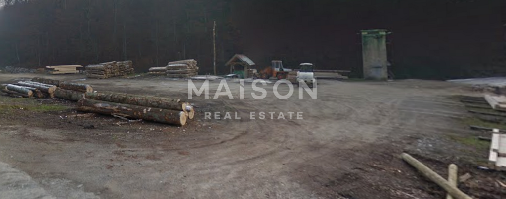 Image 6248553 - 1