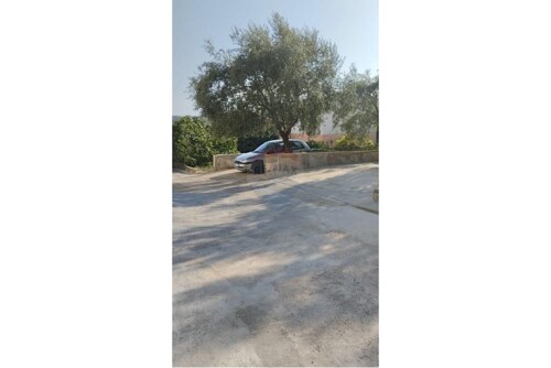 Thumbnail 6248571 - 6