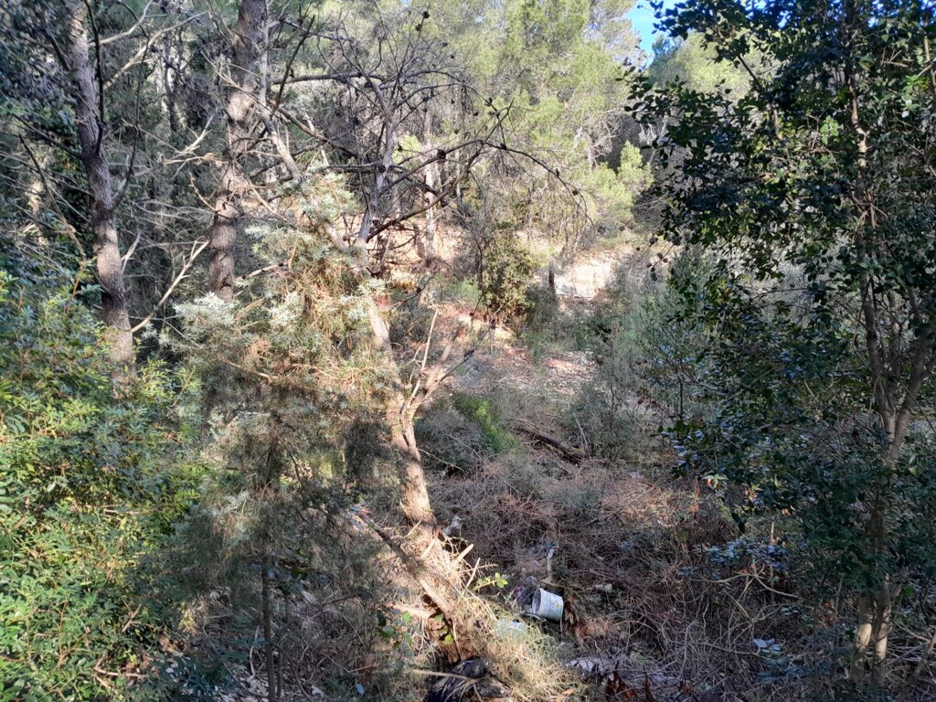 Image 6248586 - 1