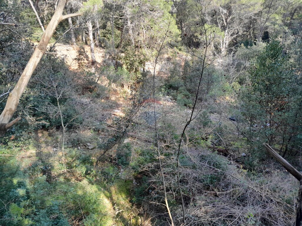 Image 6248586 - 2