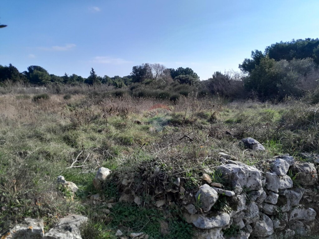 Image 6248587 - 4