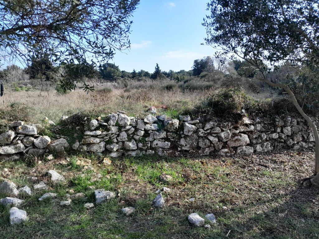 Image 6248587 - 3