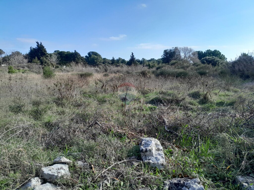 Image 6248587 - 2