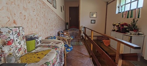 Thumbnail 6248605 - 4