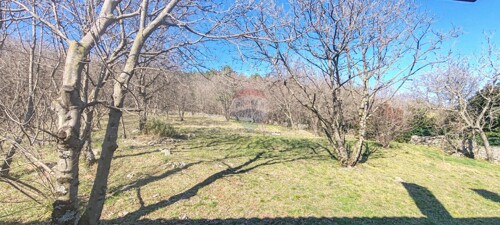 Thumbnail 6248605 - 7