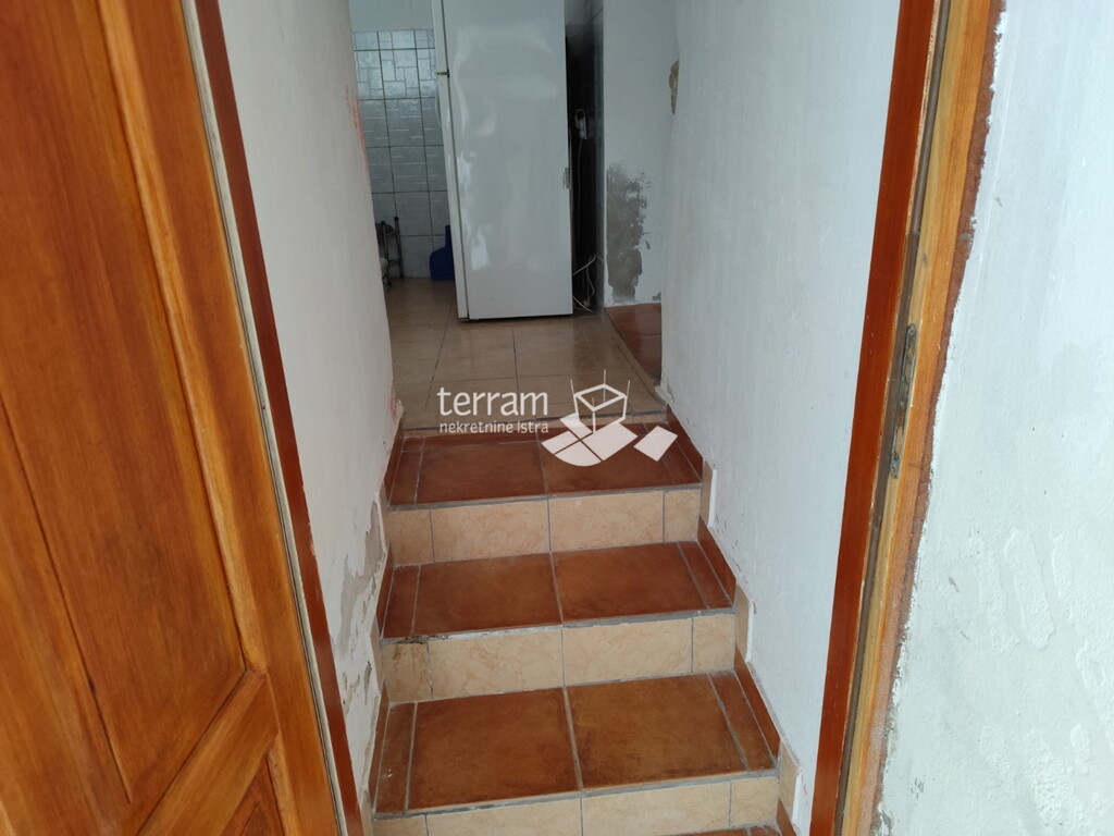 Image 6248663 - 8