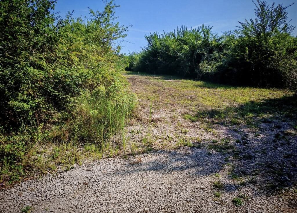 Image 6248680 - 1