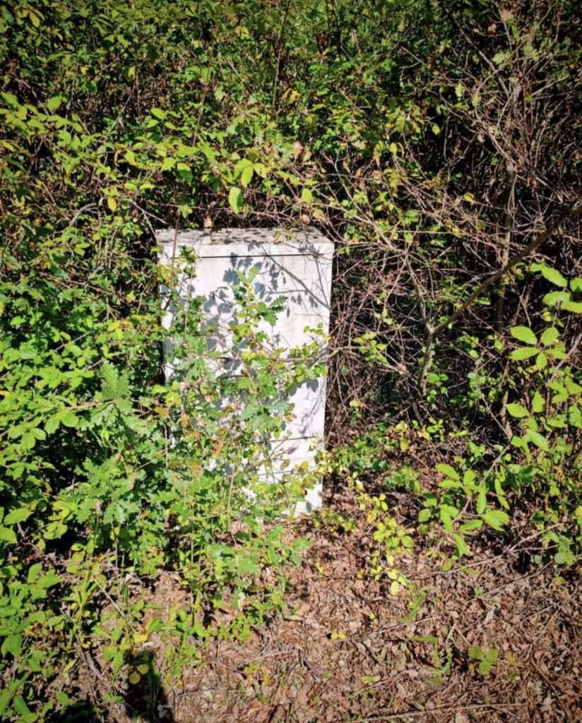 Image 6248681 - 2