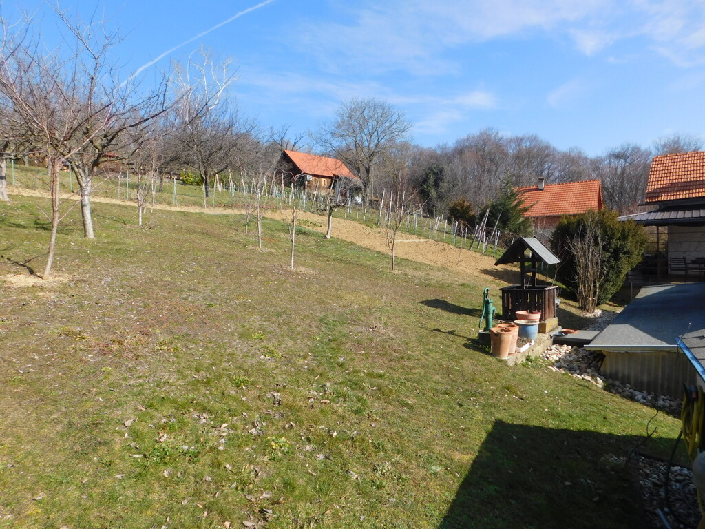 Image 6248825 - 20