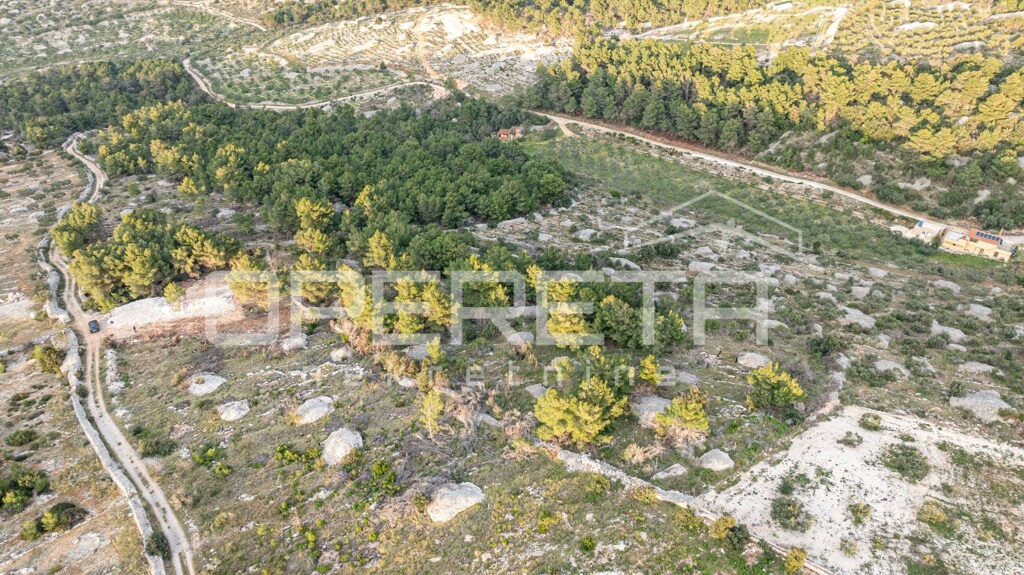 Image 6249005 - 4