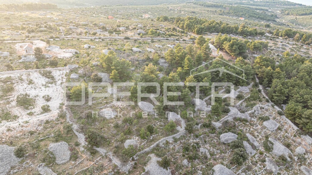 Image 6249005 - 6