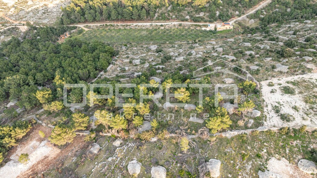 Image 6249005 - 1