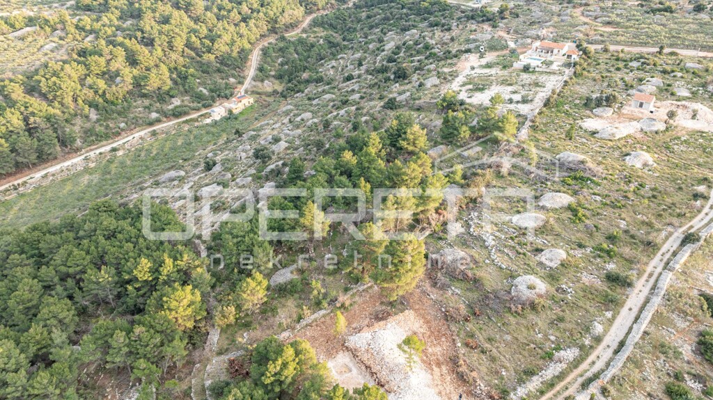 Image 6249005 - 3
