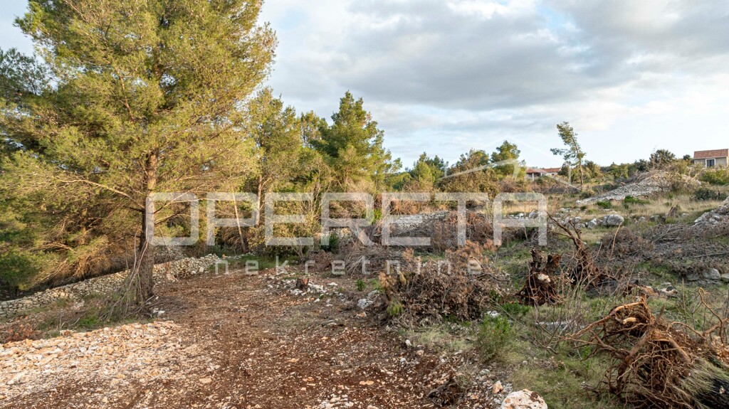 Image 6249005 - 11