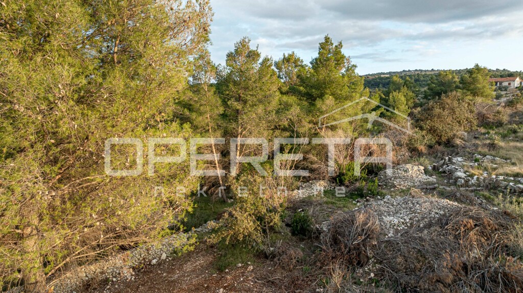 Image 6249005 - 12