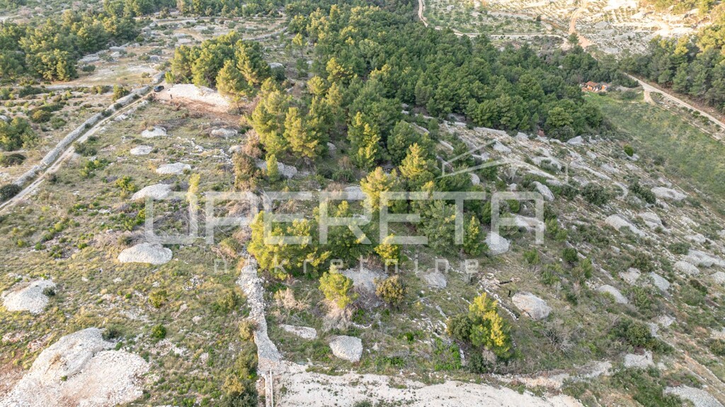 Image 6249005 - 5