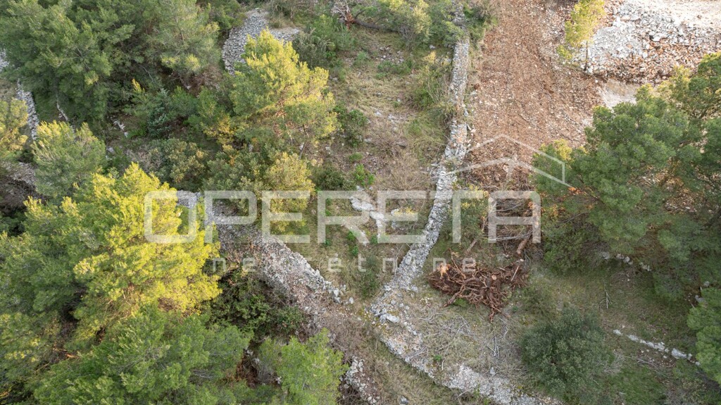 Image 6249005 - 2