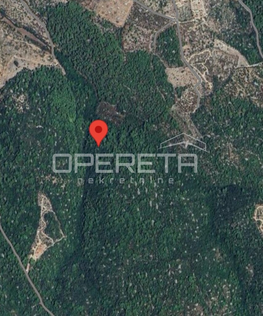 Image 6249006 - 6