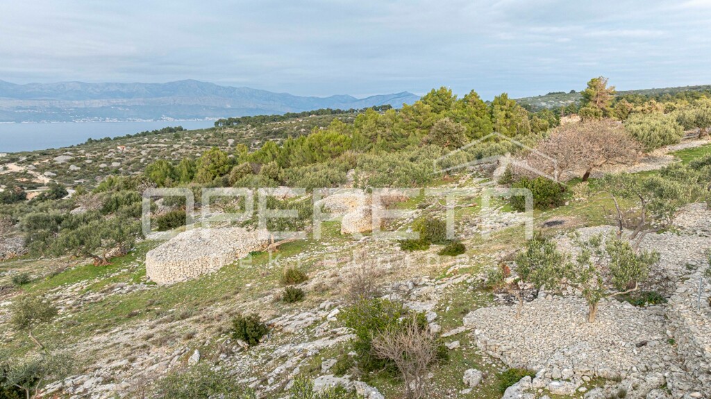 Image 6249007 - 11