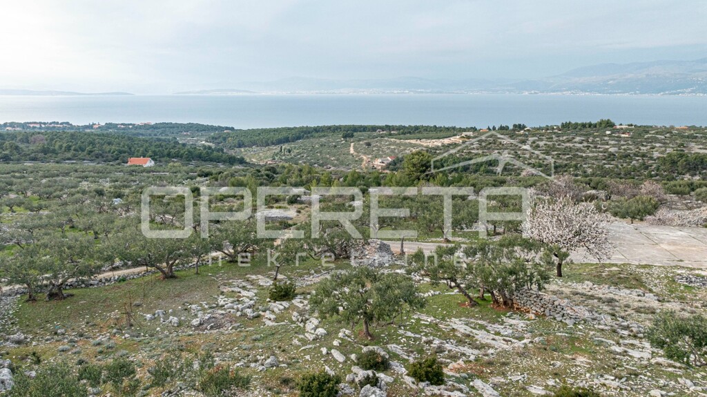 Image 6249007 - 10