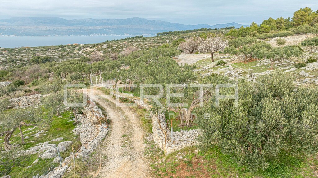 Image 6249007 - 9