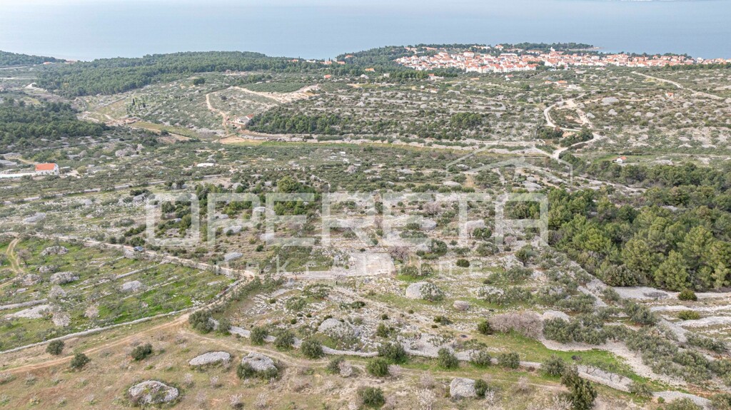 Image 6249007 - 3