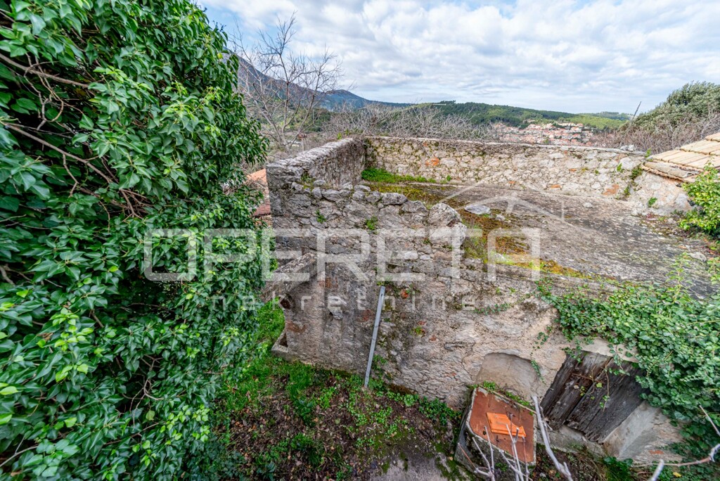 Image 6249015 - 13