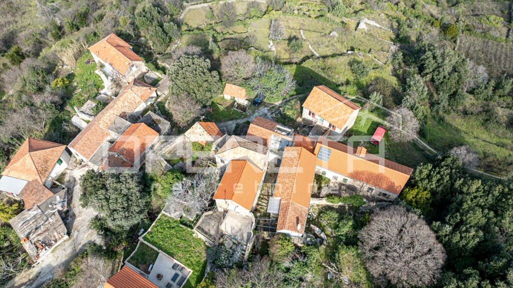 Image 6249015 - 3