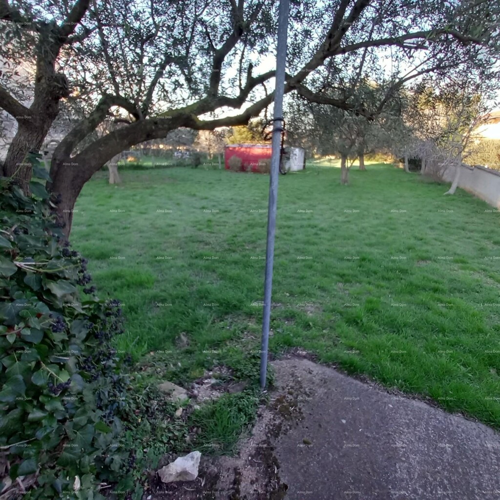 Image 6249052 - 4