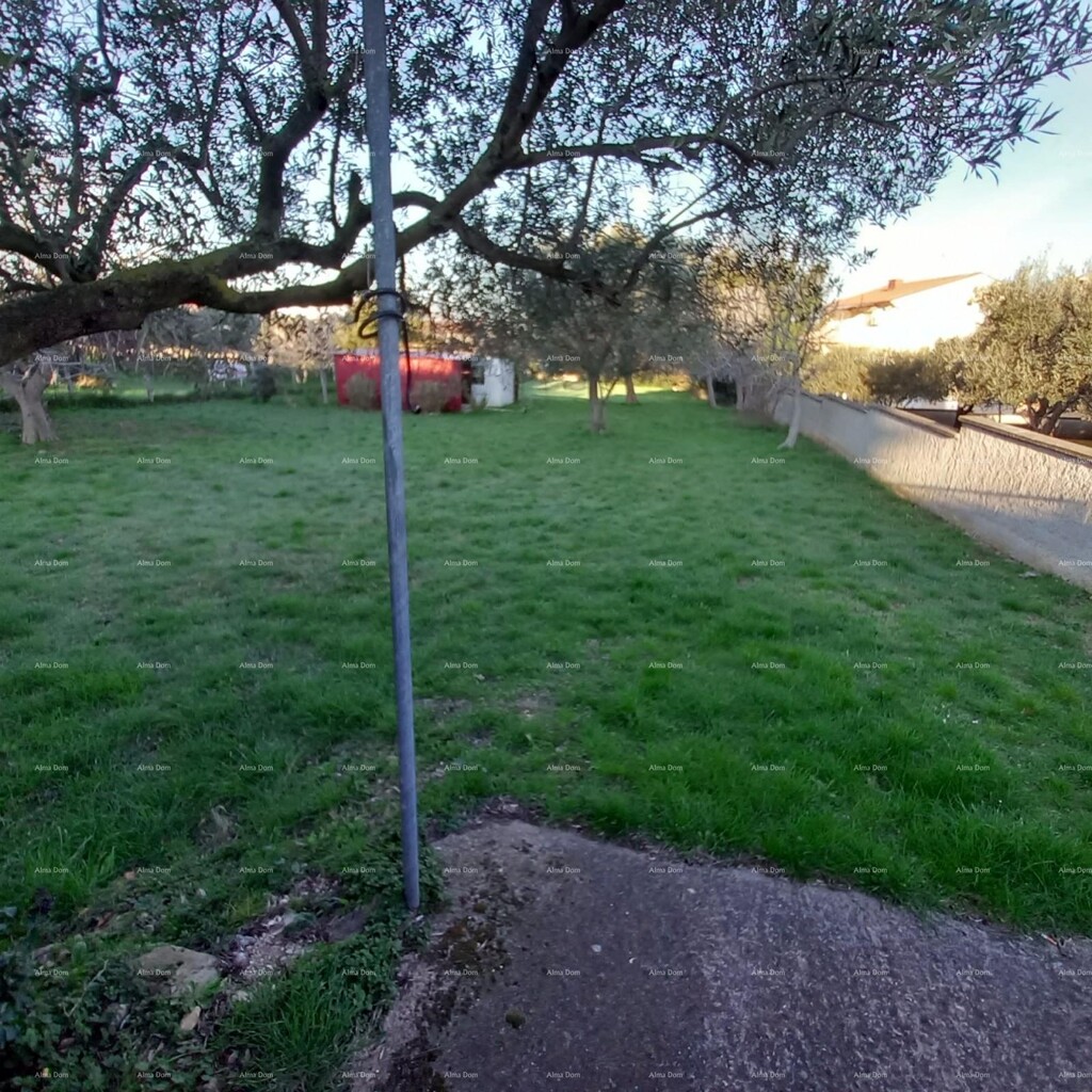 Image 6249052 - 3